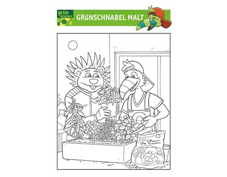 Grünschnabel Malvorlage 3 25