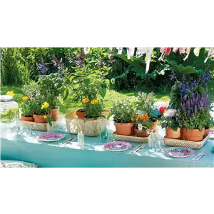 BUNTER SOMMER!