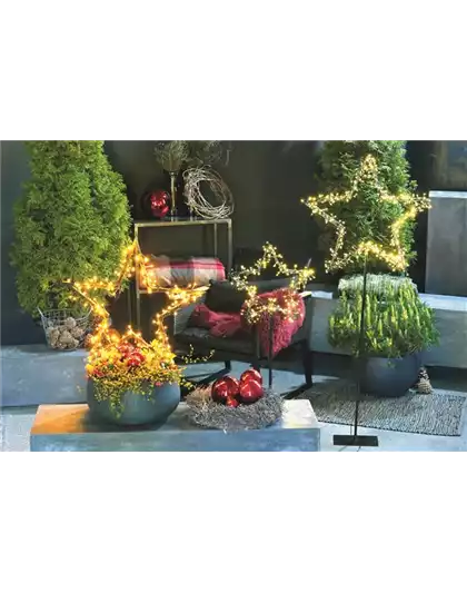 LICHTBLICKE IM WINTER-GARTEN!