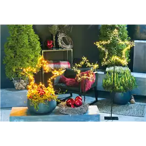LICHTBLICKE IM WINTER-GARTEN!