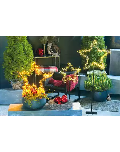 LICHTBLICKE IM WINTER-GARTEN!