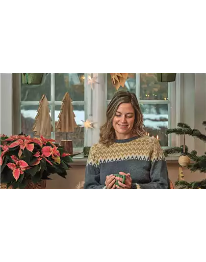 WEIHNACHTEN BEGINNT ZUHAUSE!