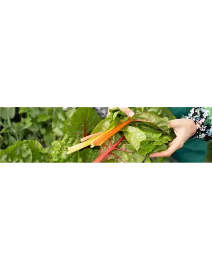 Buch des Monats: März!