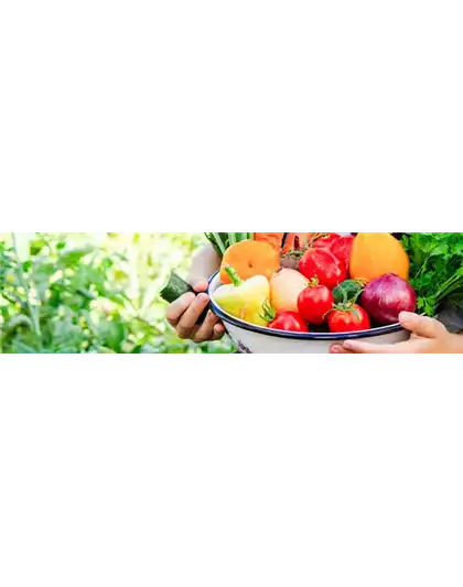 Buch des Monats: April!