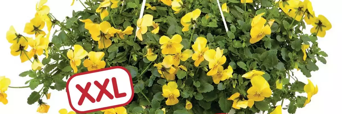 NEUERÖFFNUNG nach UMBAU