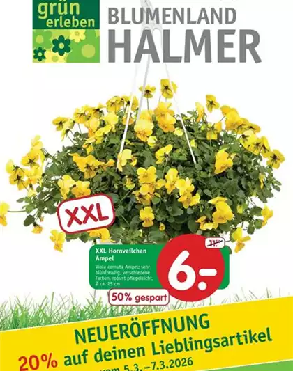 NEUERÖFFNUNG nach UMBAU