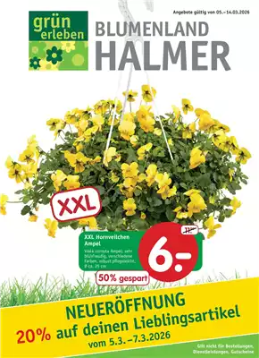 NEUERÖFFNUNG nach UMBAU