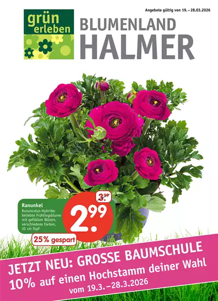 Beilage 3 Frühling 2026