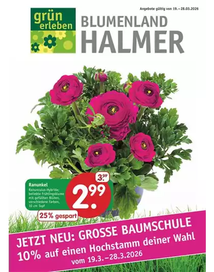 10% auf einen Hochstamm deiner Wahl