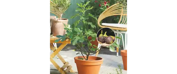 URLAUBSGEFÜHLE ZUHAUSE! 