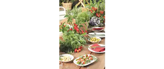 URLAUBSGEFÜHLE ZUHAUSE! 