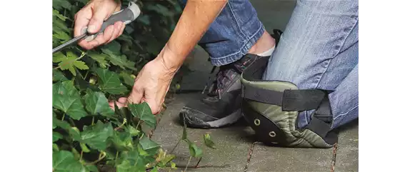 SOMMER IM STAUDENGARTEN!