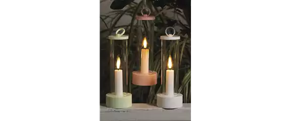 BLÜTENPRACHT IM SCHATTEN!