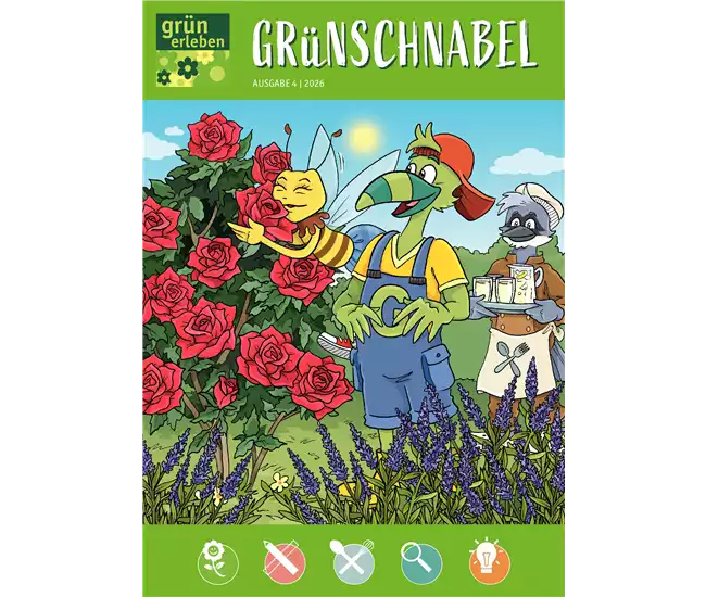 Ausgabe 4 2026