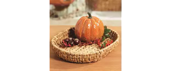 FARBEN VOLLER HERBSTGEFÜHL! 