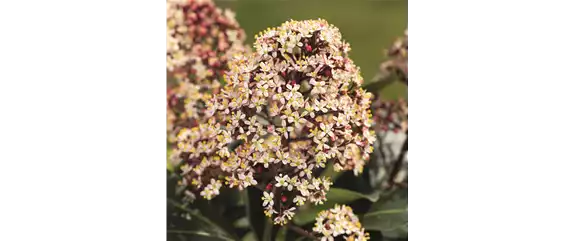 BUNTE HERBSTFREUDE!