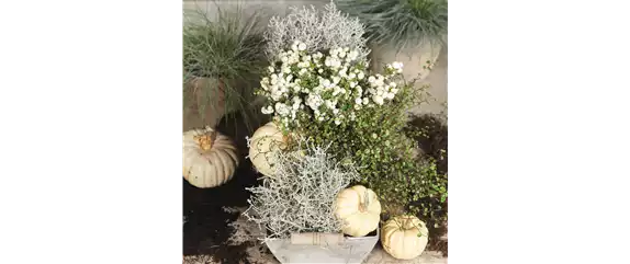 BUNTE HERBSTFREUDE!