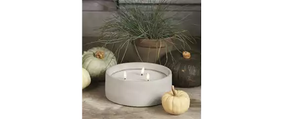 BUNTE HERBSTFREUDE!
