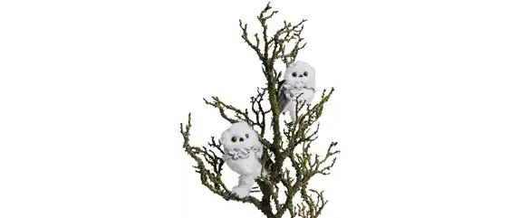 WEIHNACHTLICHE WOHNMAGIE!