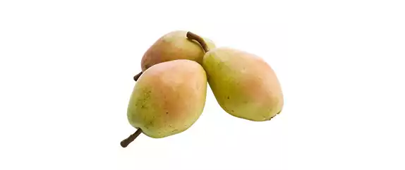 OBSTGARTEN!