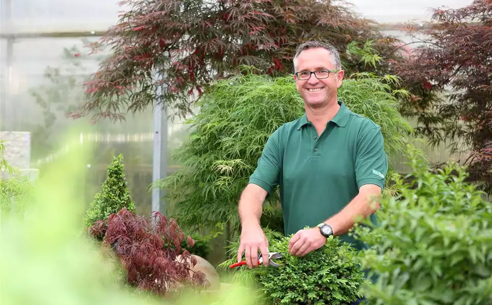 Pflanzen Sie sich ihr - Leben schöner