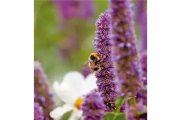 DAS GROSSE KRABBELN! 