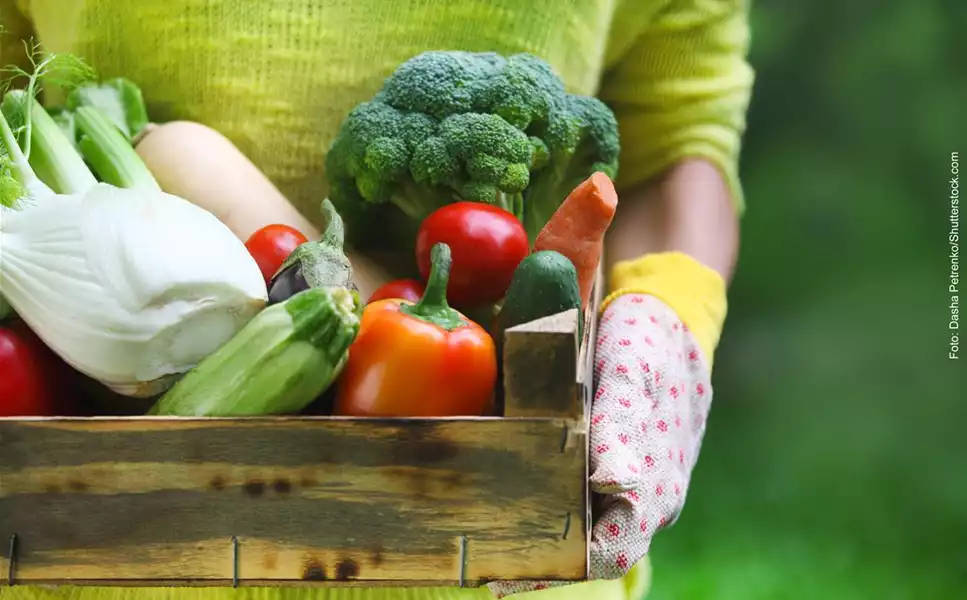 Nutzgarten - Leckereien aus dem Garten!