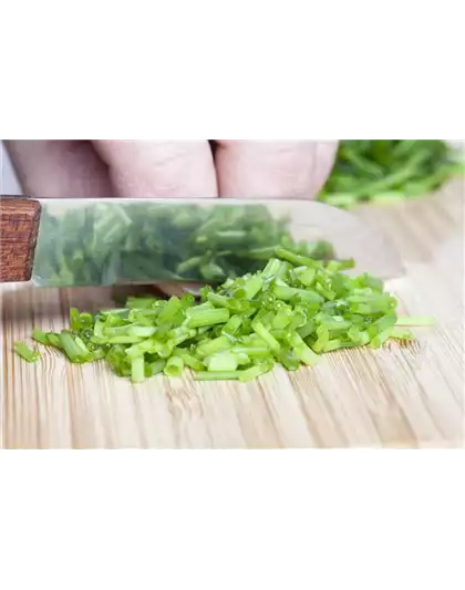 WAS WÄRE DER KRÄUTERGARTEN OHNE FRISCHE KRÄUTER?