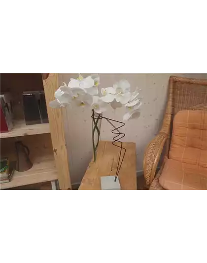 Orchidee - Anschneiden für den Heimgebrauch