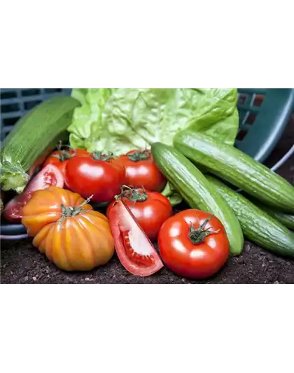 ALLES FÜR DEN BAUERNGARTEN