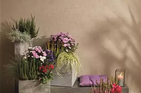 EIN KUNTERBUNTER HERBST!