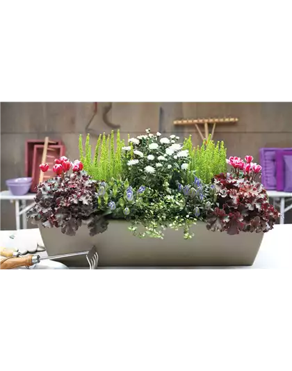 DER HERBST IM KASTEN!