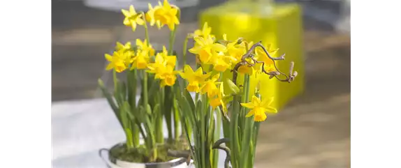 BUNTES OSTERFEST MIT FRüHLINGSBOTEN!
